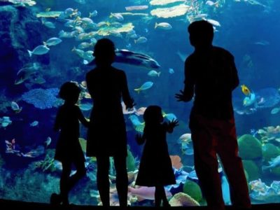 family at the aquarium
