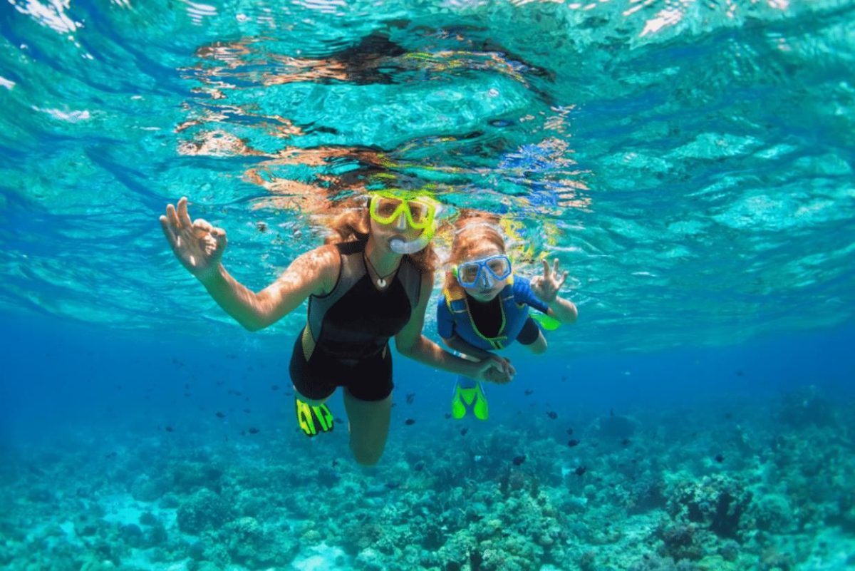 Snorkeling In Sarasota