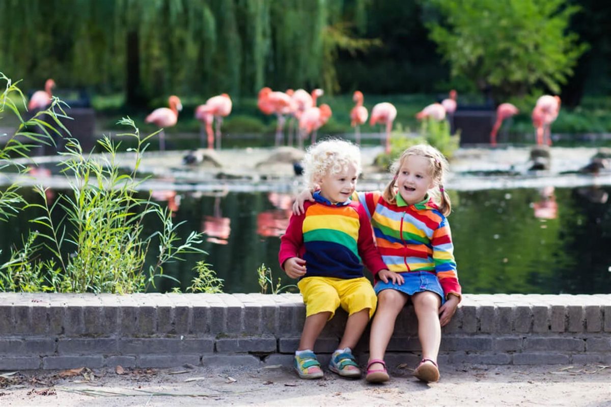 kids at zoo